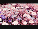 #チ｜ユ｜リ @長山｜知由理