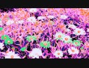 #チ｜ユ｜リ @長山｜知由理