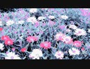 #チ｜ユ｜リ @長山｜知由理