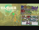 【ゼルダの伝説ティアーズオブザキングダム】神ゲーの続編ティアキンをやっていくｗ　パート62【Totk】