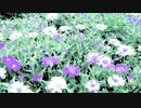 #チ｜ユ｜リ @長山｜知由理