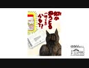 【第166回】サイレントおてと新しい茶器と狙う猫