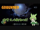 闇雲大作戦なのだ/Grounded/#23