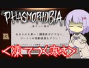 【phasmophobia】凍てつく寒さ