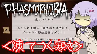 【phasmophobia】凍てつく寒さ