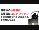 水難事故　激増中の水難事故 主要因はコロナ ワクチン その仕掛けられた メカニズム を考察してみた　心筋炎死亡スイッチはハリガネムシ