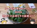 ゆっくり副業初めて見た～第６日目～