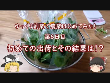 ゆっくり副業初めて見た～第６日目～