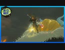 【ゼルダの伝説 ティアーズ オブ ザ キングダム】空と地底と大地と呪われし右腕。 #64【実況】