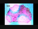 【放送事故】おすすめスポット特集