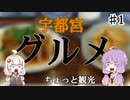 ゆかりさんとあかりちゃんの宇都宮旅行【前編】