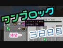 【３８日目】ワンブロックでハードコアな世界を生き残る