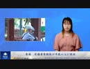 香港　有権者登録数が半数以上に激減