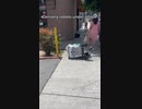 ホモと見るおもちゃと化したアメリカの自動配達運転ロボット