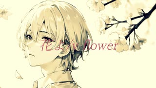 花よ/v flower