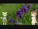 【NEUTORINO,CeVIO】かえるの合唱【ver.ずんだもん,さとうささら】