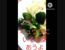 キュウリにいそ松葉あうよ波高ければ昆布漁どうなるキュウリ用意違った休漁