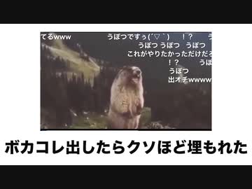 【音量注意】ボカコレという魔境