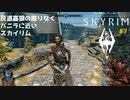 灰道嘉狼の限りなくバニラに近いスカイリム7