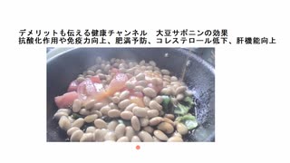 すみません　指向性のあるカメラであること忘れてしまい　音声聞き取れにくいですデメリットも伝える健康チャンネル　大豆サポニンの効果 　　抗酸化作用や免疫力向上、肥満予防、コレステロール低下、肝機能向上