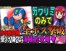99周攻略するロックマンエグゼ4【11/99周目】