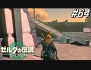 【ティアキン】シド王子！ﾅｽﾞｪﾐﾃﾙﾝﾃﾞｨｽ!!【ゼルダの伝説 ティアーズ オブ キングダム】実況プレイ part64