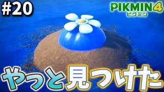 ずっと探し求めていた青オニヨンを遂に発見！【ピクミン4】#20