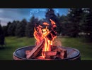【フリーBGM】自然.エレクトロ.chill.キャンプ.焚き火.作業用BGM/　　build a fire