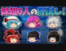 【ゆっくり茶番】妹組の肝試し