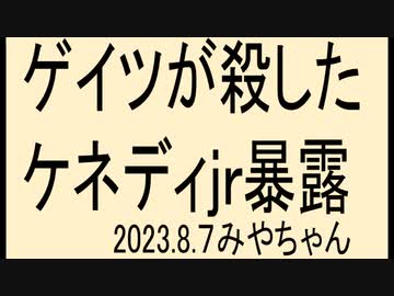 公務員半分にして給料下げて、消費税廃止にしろ