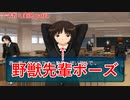 恐怖！みゃ獣と化した妹【アマガミ実況】part4