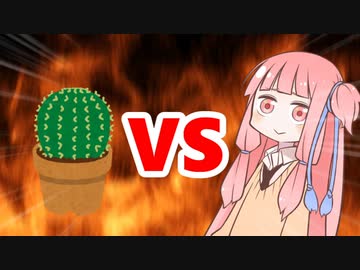 茜ちゃんVSサボテン