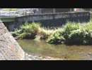 【Qチャン牧師】洗礼の儀式【LTL教会】