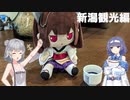 【新潟観光編】つづりっかの無計画ドライブ