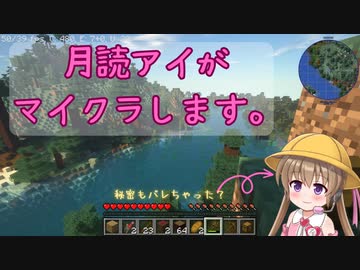 アイちゃんがちょっとマイクラで遊びます。