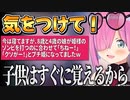 気をつけて見て欲しいと注意喚起をするルーナ姫【姫森ルーナ/ホロライブ切り抜き】