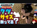 【マインクラフト】サイズ間違えてますよって言えない雰囲気な超高難易度マップ RAGECRAFT3 で勇者見習い生活 #87【実況】≪PRAZOKS≫