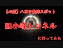 【外配信vol.36】【心霊】旧小峰トンネル【切り抜き】【アフラン】