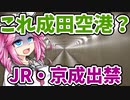 【ボボボ旅行】「裏口」から成田空港に入ってみた！！！！！！！【東成田駅】