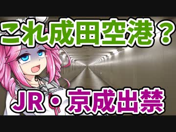 【ボボボ旅行】「裏口」から成田空港に入ってみた！！！！！！！【東成田駅】