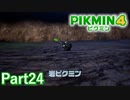 美脚で頑丈な5種類目のピクミン【PIKMIN4実況part24】