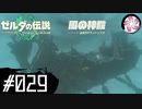 【ティアキン＃29】凡人が行く龍泪旅
