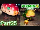 VSクイーンチャッピー・ダイオウデメマダラ inけだものの王国【PIKMIN4実況part25】