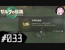 【ティアキン＃33】凡人が行く龍泪旅