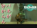 【日刊ゼルダ】神ゲーを全力で楽しむ実況《ティアーズ オブ ザ キングダム》　#８