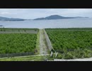 岩手県陸前高田市　高田松原の現在と海水浴場　2023　0723