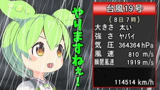 記録的な台風の中でインタビューを受けるもビクともせず自分の責務を全うするずんだもん【VOICEVOX2周年文化祭】