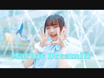 【ものくま】Marine Dreamin' 踊ってみた【夏！！！】