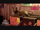 【実況】ステフとレコードとDJと多様性。 Part7(終)【Life is Strange: True Colors ボーナスエピソード"Wavelengths(うつろい)"】