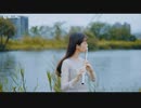 フルートで『 秋川雅史 - 千の風になって 』を吹いてみた｜Lily Flute Cover & Instrumental Backing
